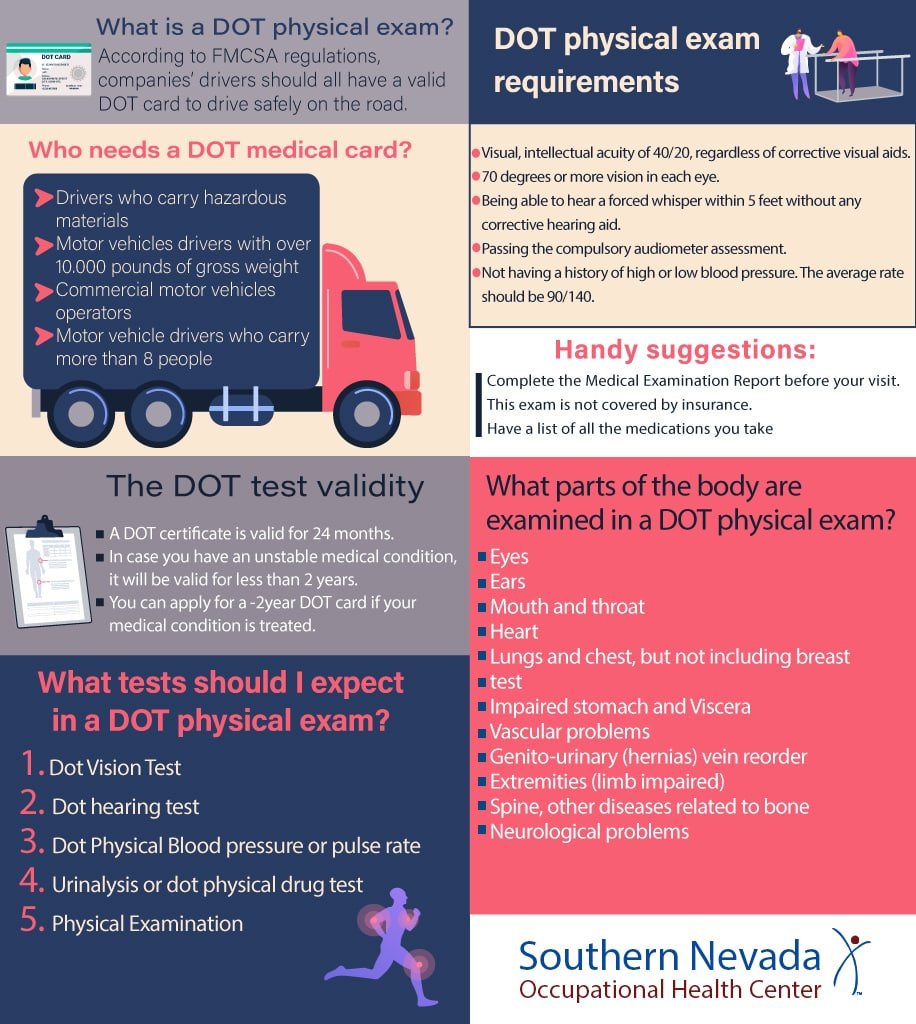 Infographic DOT Physical Exam